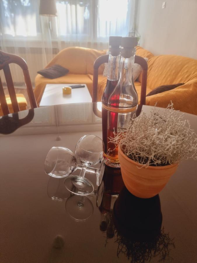 Skitnica Podravka Koprivnica Bagian luar foto